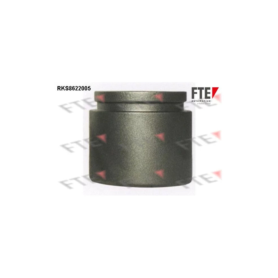 Fte RKS8622005 Piston, Brake Caliper | ML Performance UK Car Parts