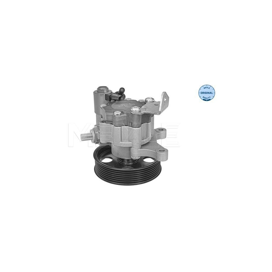 Meyle 014 631 0029 Power Steering Pump