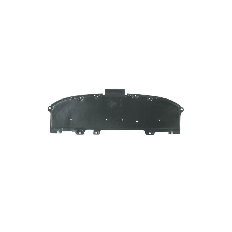 Blic 6601-02-3422860P Skid Plate