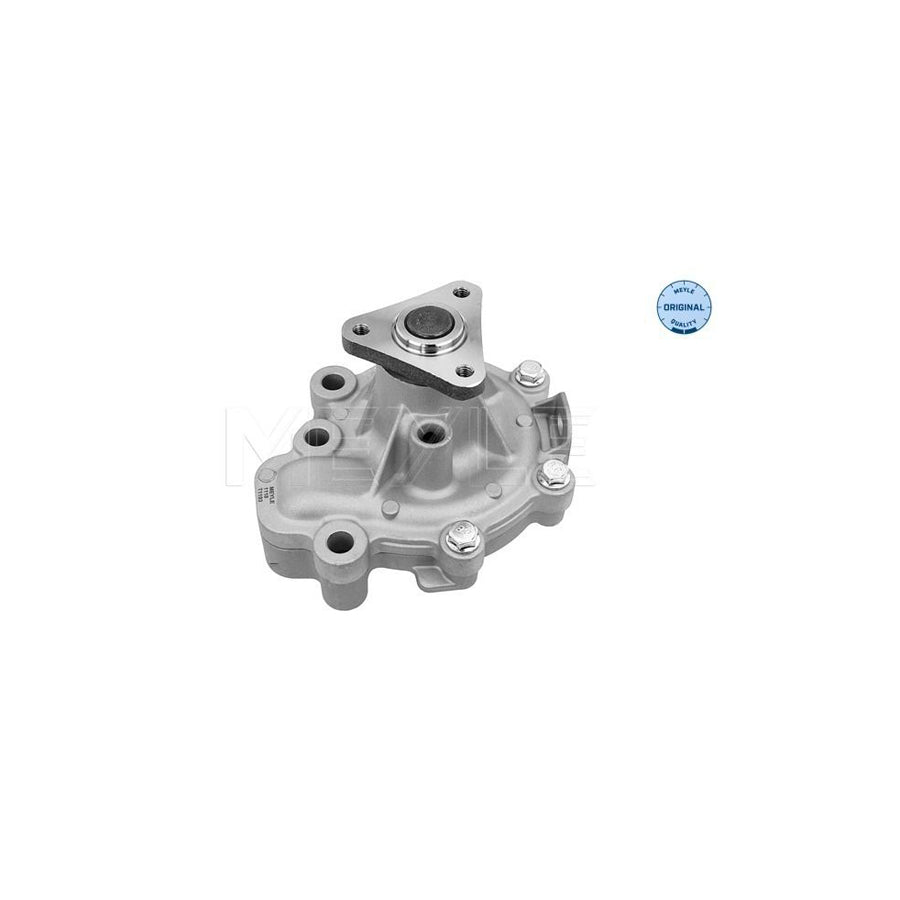 Meyle 35-13 220 0007 Water Pump