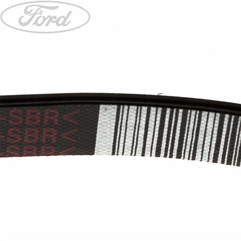 GENUINE FORD 1818385 DRIVE V BELT | ML Performance UK