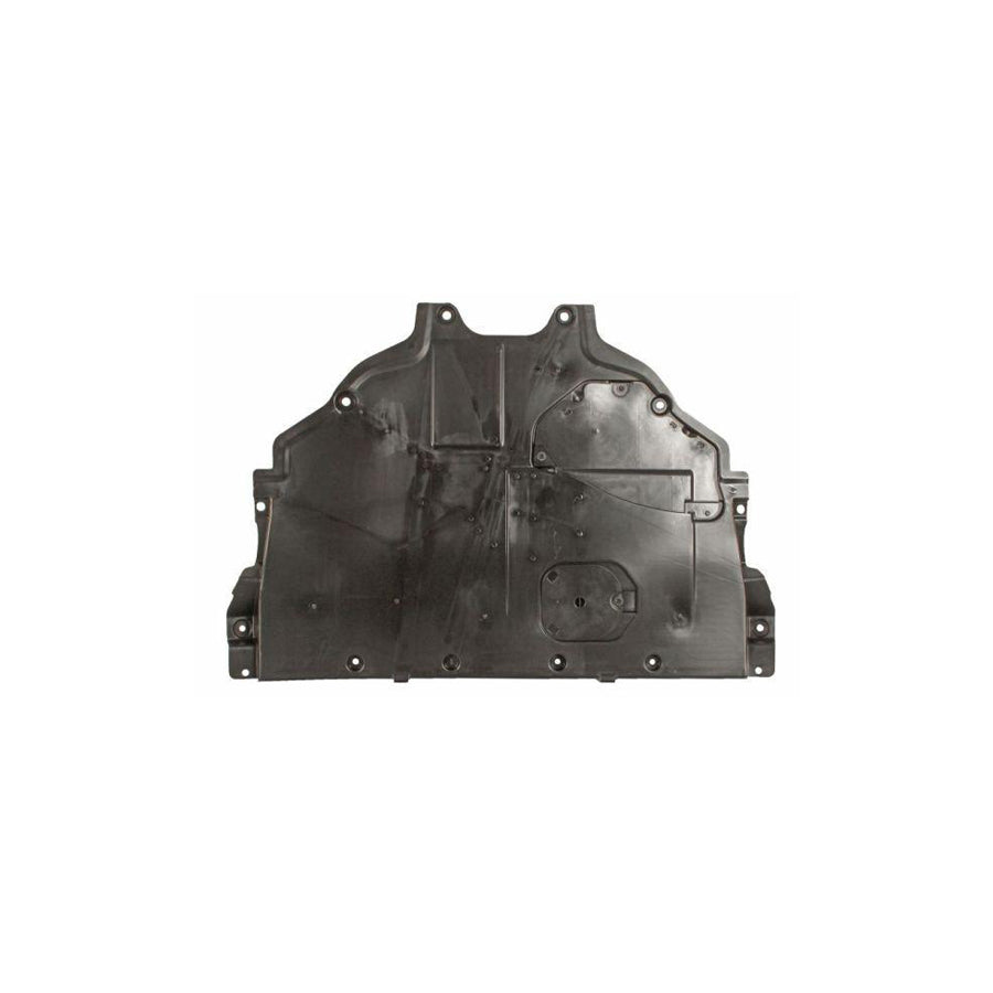 Blic 6601-02-3495861P Skid Plate