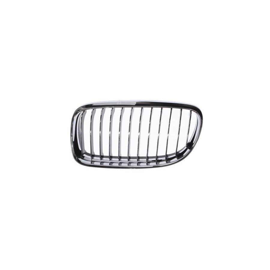 Blic 6502-07-0062991Pp Radiator Grille For BMW 3 Series