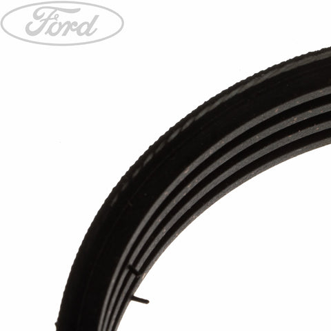 GENUINE FORD 1818385 DRIVE V BELT | ML Performance UK