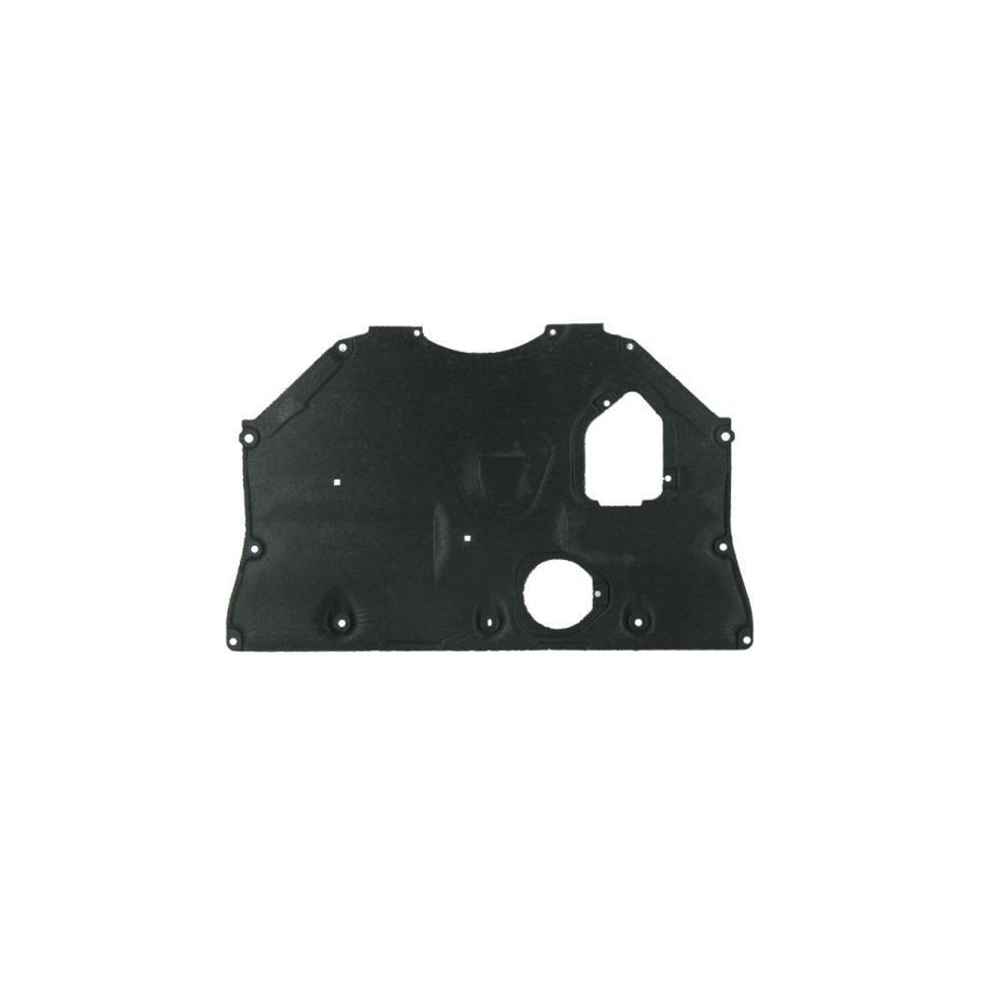 Blic 6601-02-3479860Cp Skid Plate