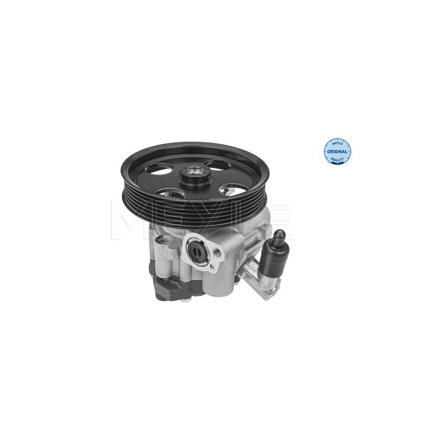 Meyle 014 631 0038 Power Steering Pump