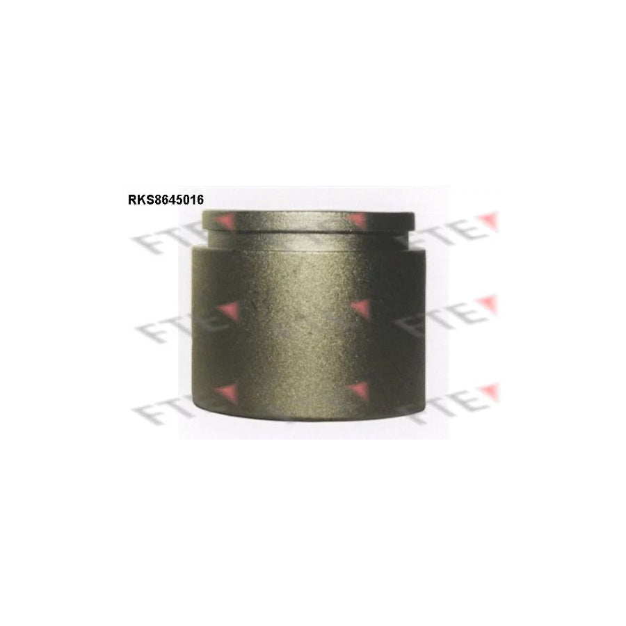 Fte 9313392 Piston, Brake Caliper | ML Performance UK Car Parts