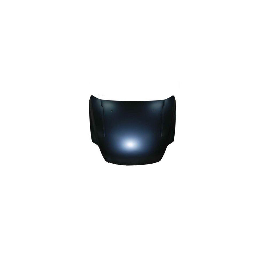 Blic 6803-00-2556280P Bonnet For Ford Mondeo