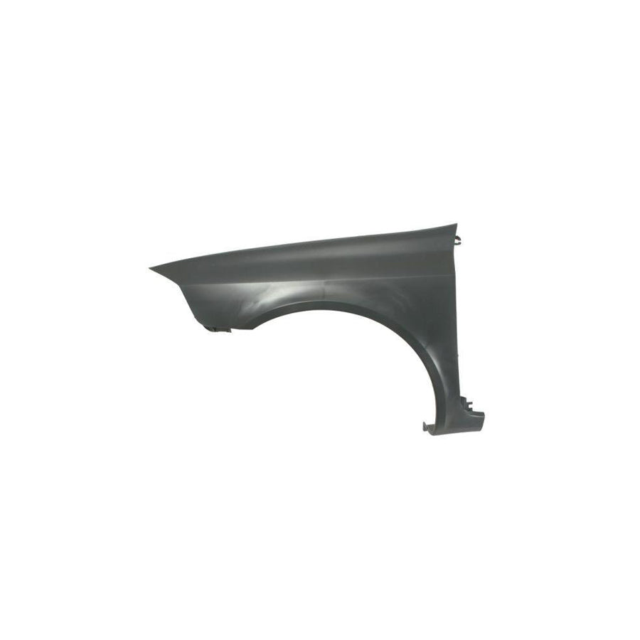 Blic 6504-04-6055313P Wing Fender For Renault Laguna