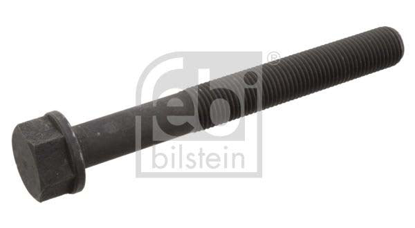 Febi Bilstein 10734 Screw | ML Performance UK Car Parts