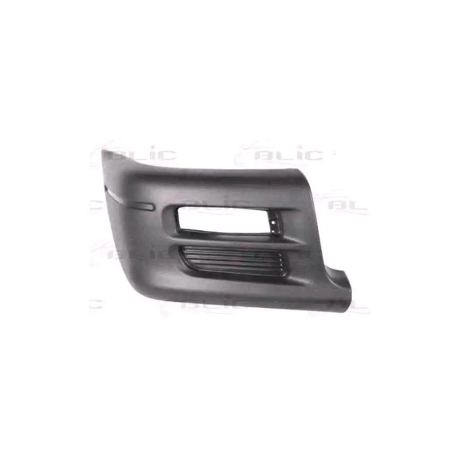 Blic 5510-00-3782912P Bumper