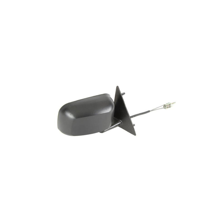 Blic 5402-04-1115131P Wing Mirror