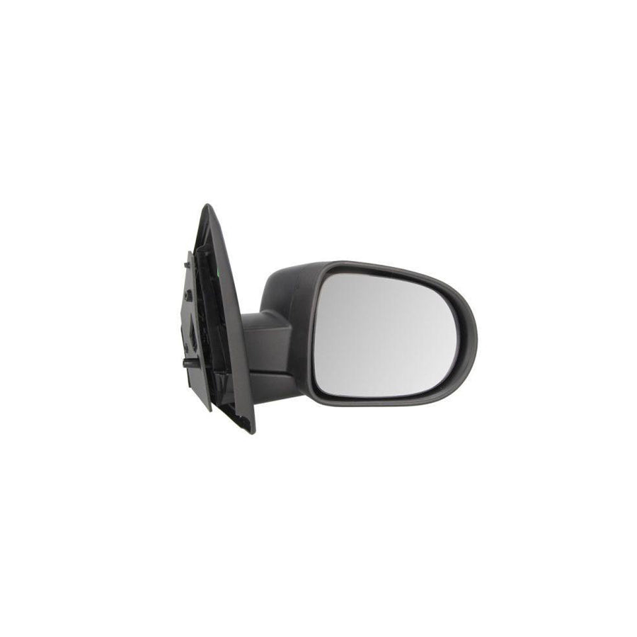 Blic 5402-09-2002118P Wing Mirror For Renault Clio