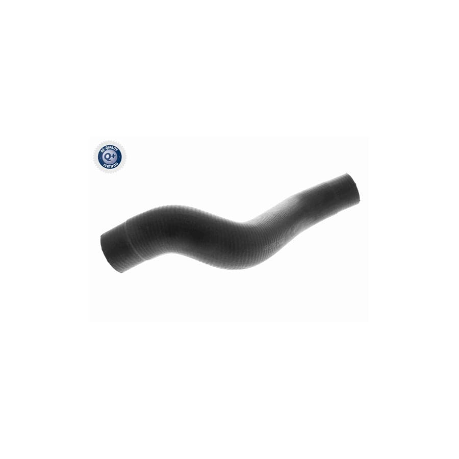 Ackoja A38-1606 Radiator Hose | ML Performance UK