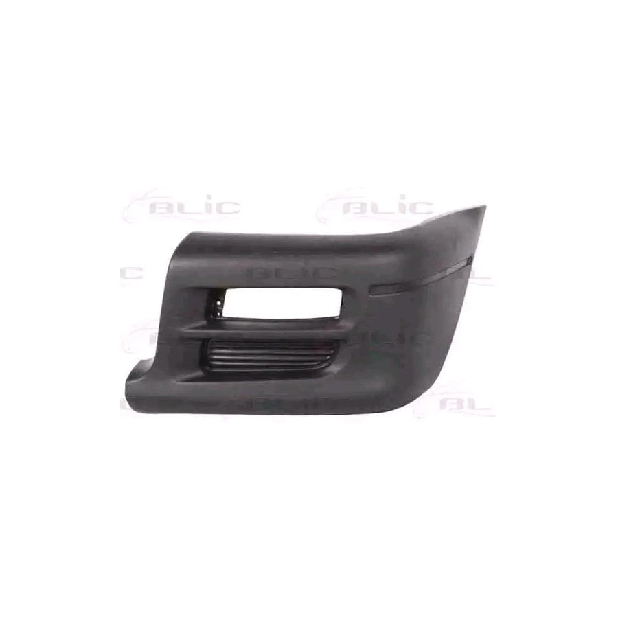 Blic 5510-00-3782911P Bumper