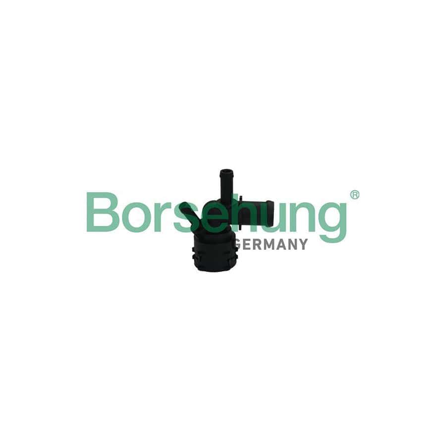 Borsehung B19182 Coolant Flange