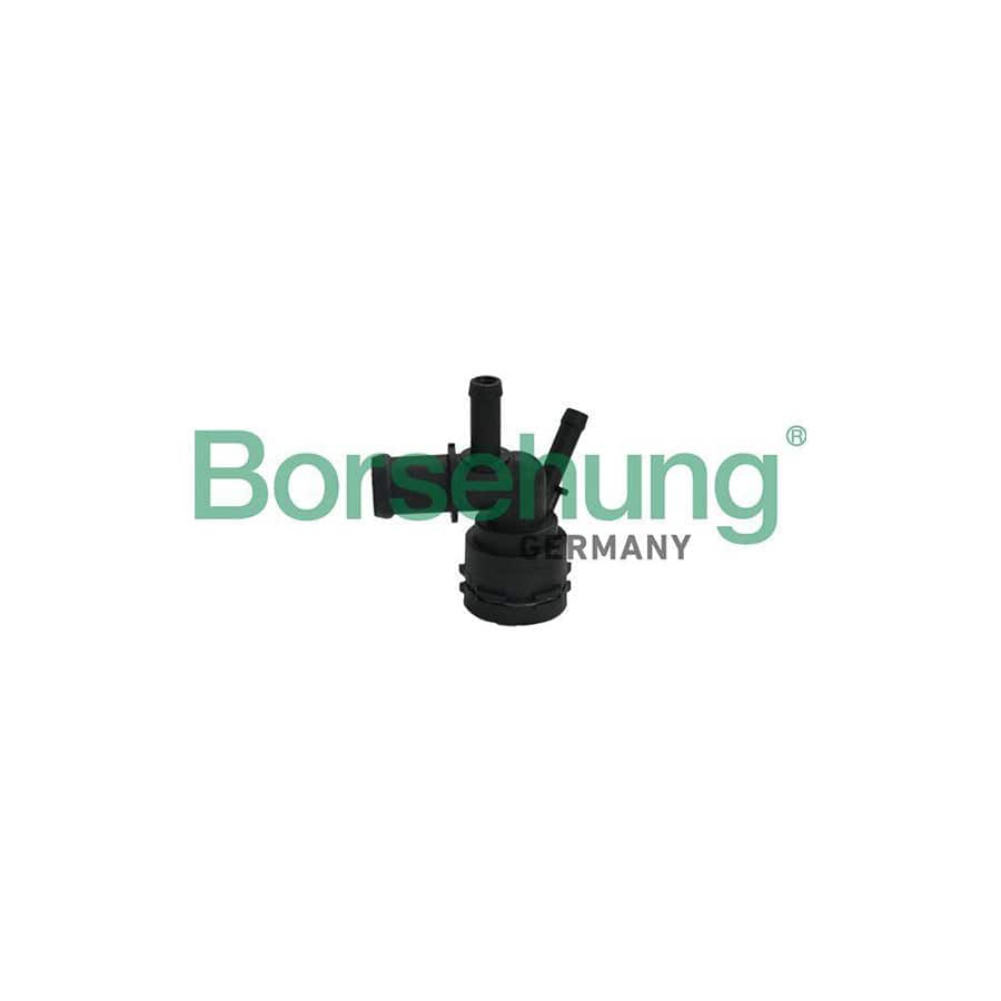 Borsehung B19181 Coolant Flange