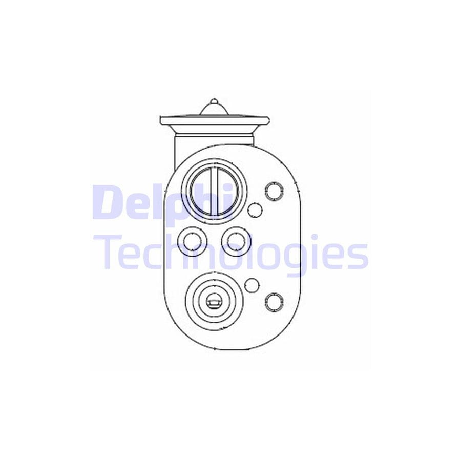 Delphi Cb1001V Ac Expansion Valve