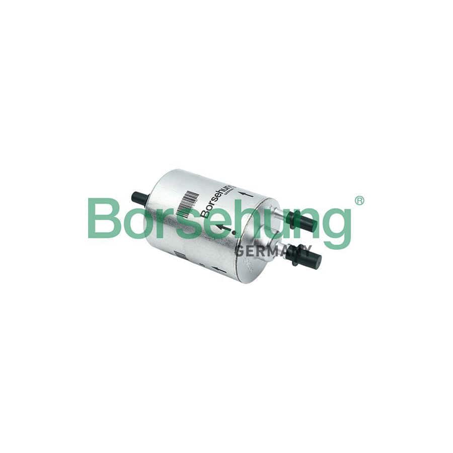 Borsehung B12792 Fuel Filter