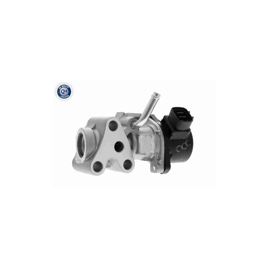 Ackoja A70-63-0016 Egr Valve | ML Performance UK