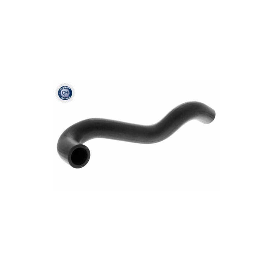 Ackoja A38-1602 Radiator Hose | ML Performance UK