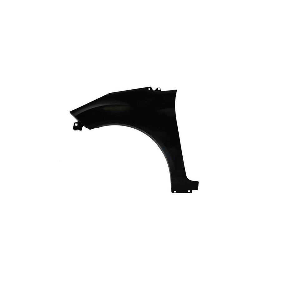 Blic 6504-04-2565311P Wing Fender For Ford Fiesta