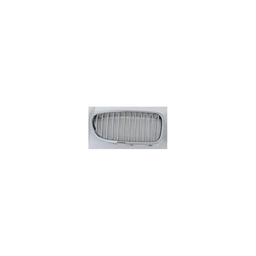 Abakus 00431486 Radiator Grille For Bmw 5 Saloon (F10) | ML Performance UK