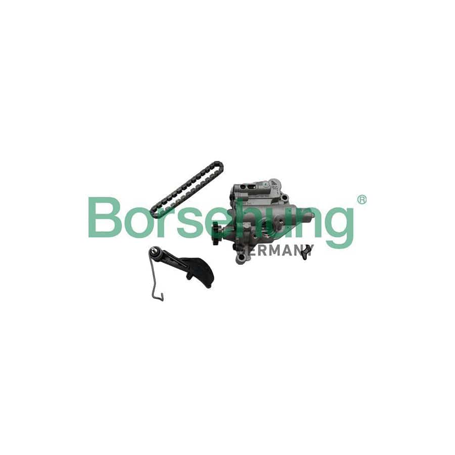 Borsehung B19177 Repair Kit, Oil Pump