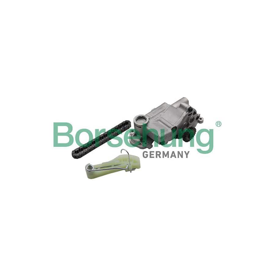 Borsehung B19176 Repair Kit, Oil Pump