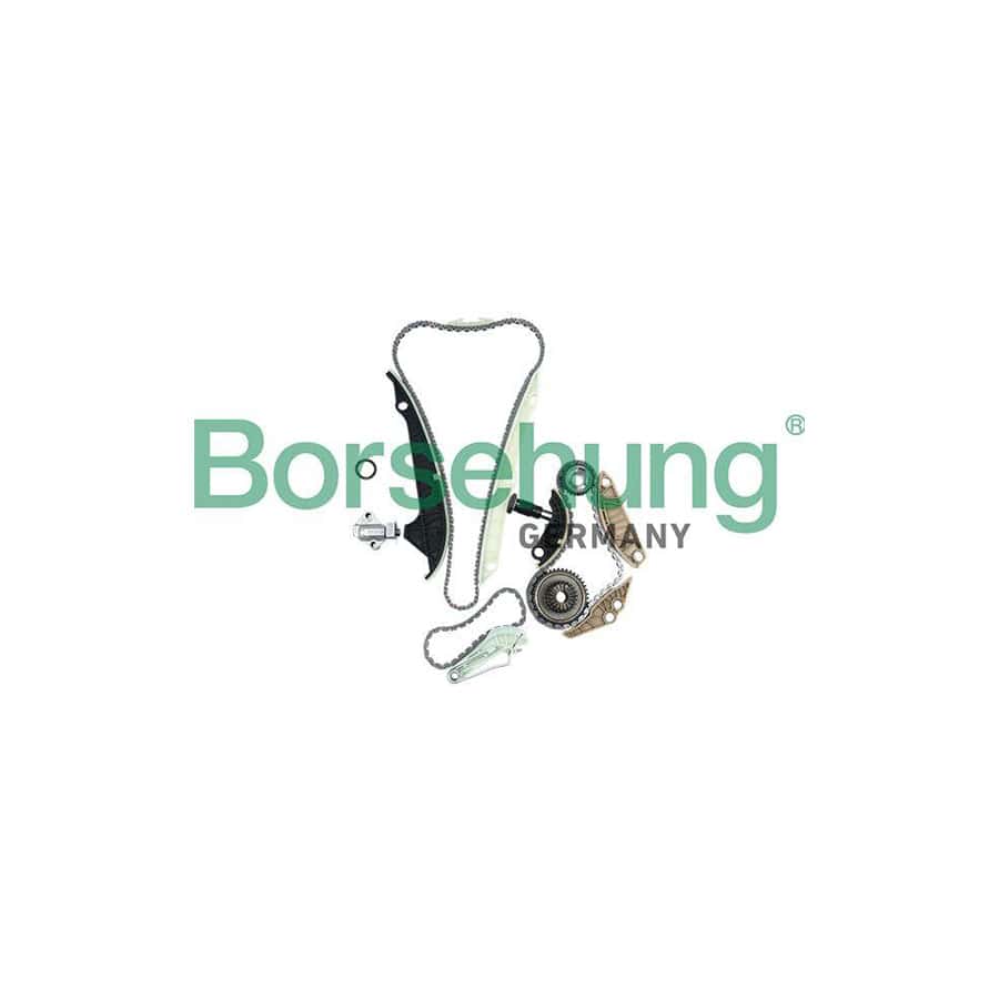 Borsehung B19209 Timing Chain Kit