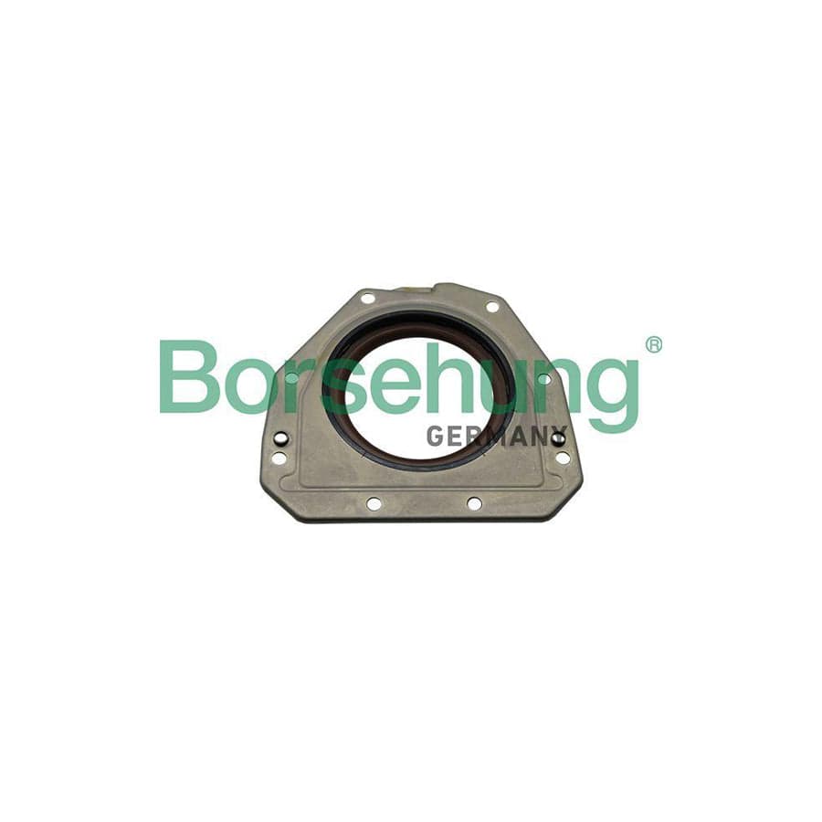 Borsehung B19208 Crankshaft Seal