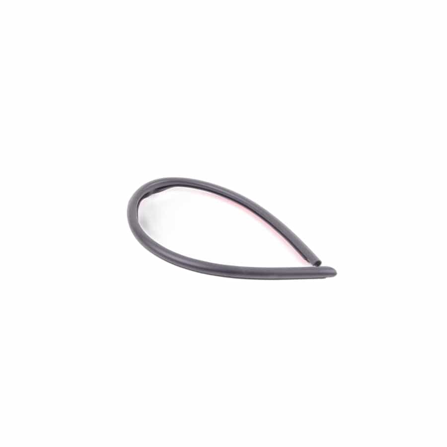 Genuine BMW 51228223764 E65 E67 E66 Gasket, Door Joint, C Column, Right (Inc. 750Li, 740d & ALPINA B7) | ML Performance UK Car Parts