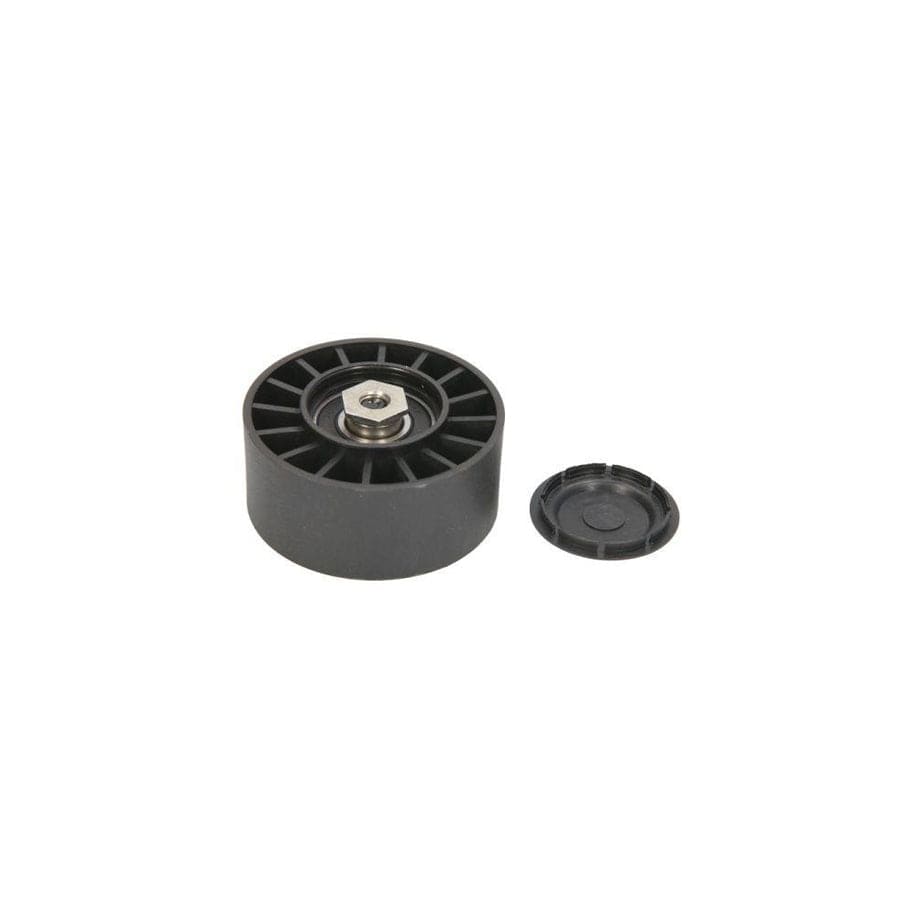 Bta B05-Ag-069 Tensioner Pulley