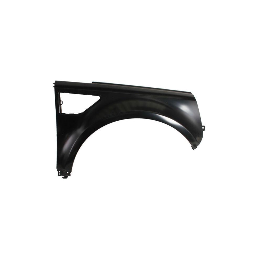 Blic 6504-04-6426312P Wing Fender For Land Rover Freelander 2 Off-Road (L359)