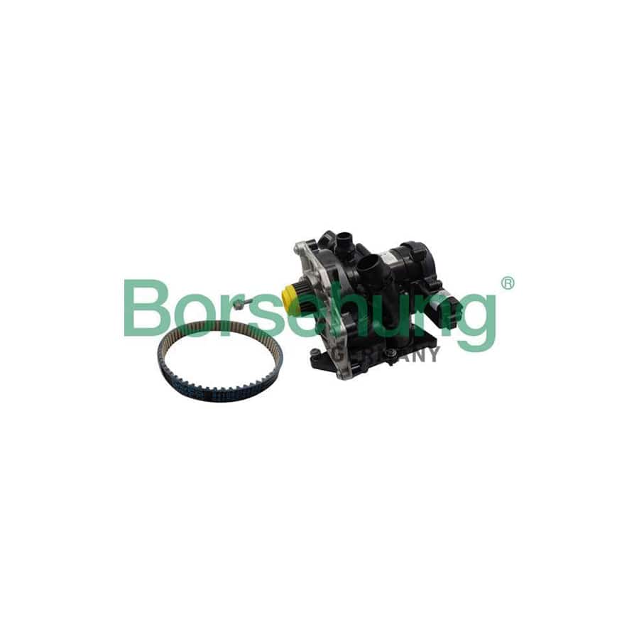 Borsehung B19205 Water Pump