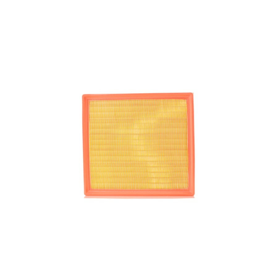 AUTOMEGA 180031810 Air Filter | ML Performance UK Car Parts