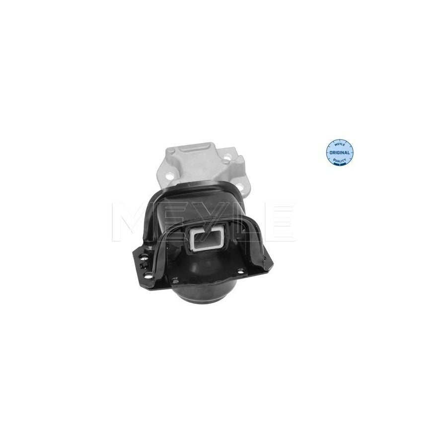 Meyle 11-14 030 0031 Engine Mount