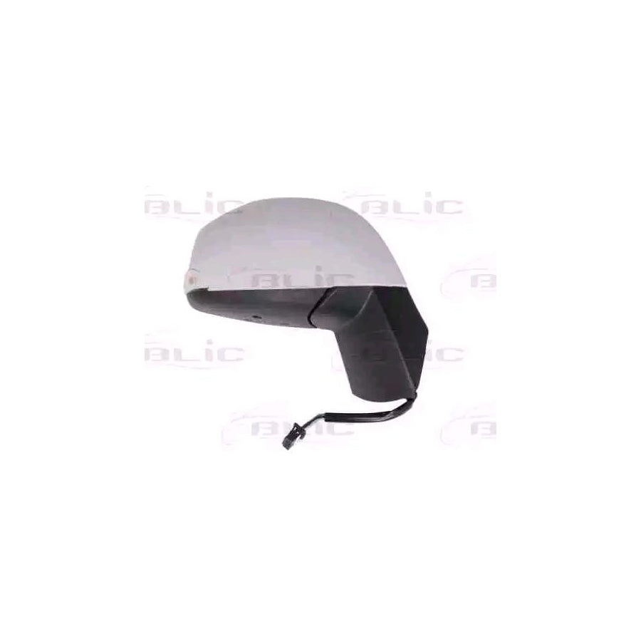 Blic 5402-09-2002156P Wing Mirror