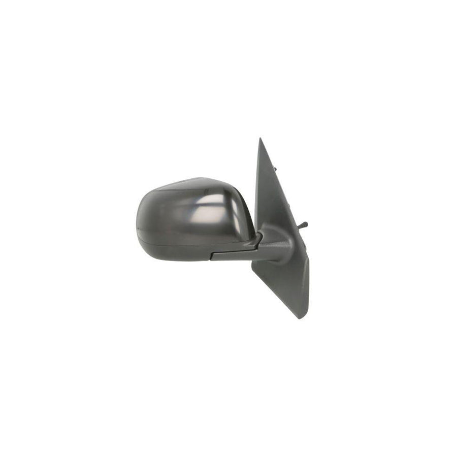 Blic 5402-67-004364P Wing Mirror