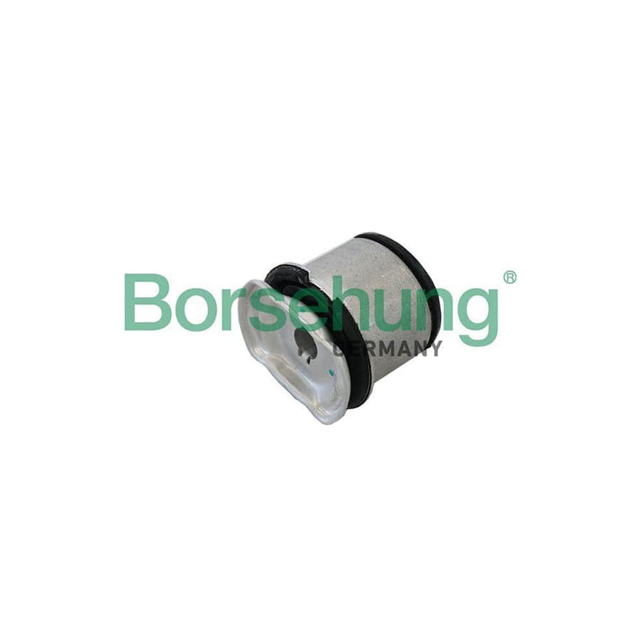 Borsehung B19198 Axle Bush