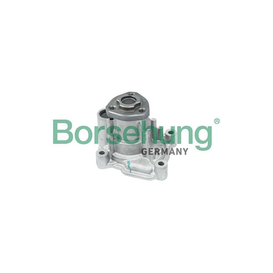 Borsehung B12696 Water Pump For Vw Jetta Mk6 (162, 163, Av3, Av2)