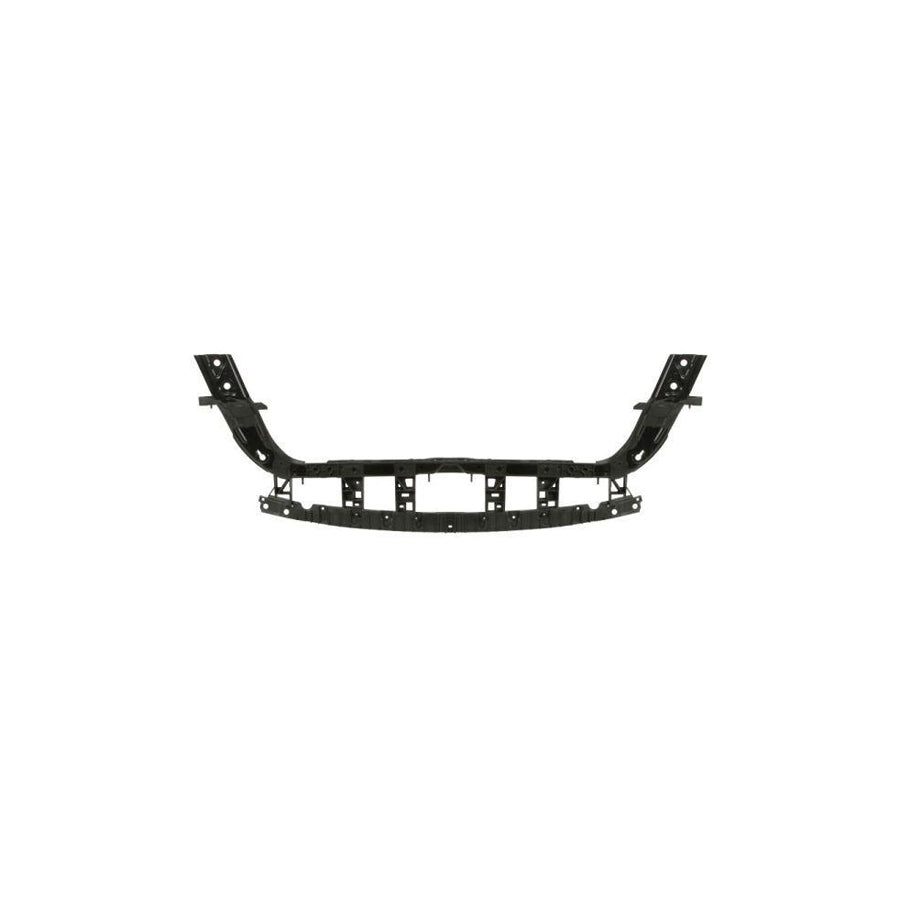 Blic 6502-08-2589200P Front Cowling For Ford Usa Mustang Mach-E