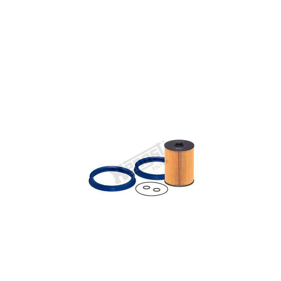 Hengst Filter E489Kp D461 Fuel Filter