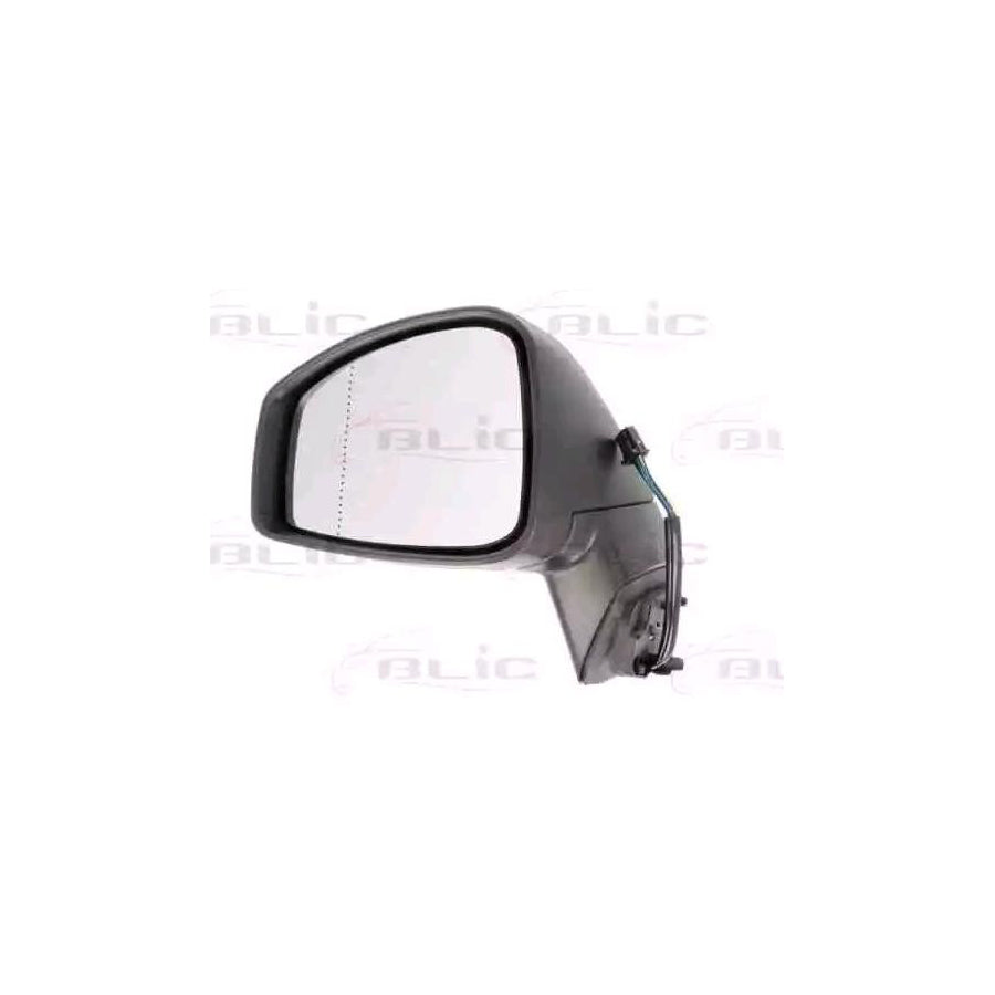 Blic 5402-09-2002153P Wing Mirror