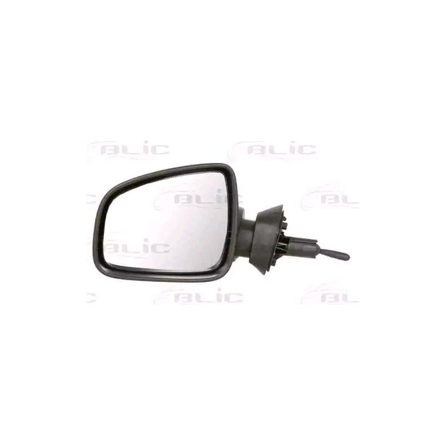 Blic 5402-67-003367P Wing Mirror