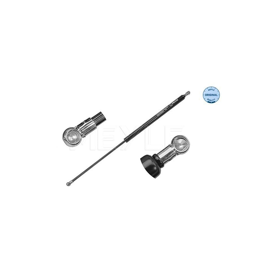 Meyle 40-40 910 0018 Tailgate Strut For CitroÃ«n C4 Coupe