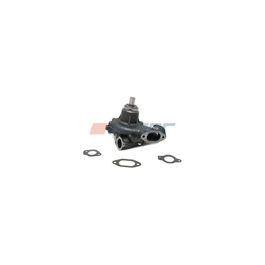 Auger 110446 Water Pump