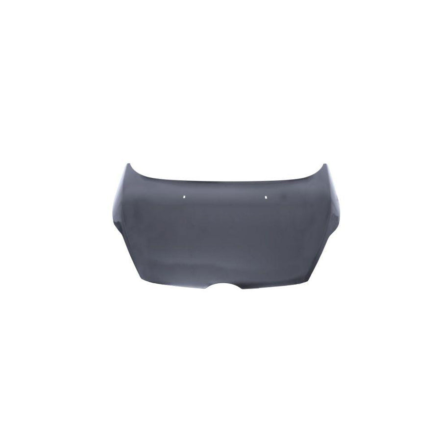 Blic 6803-00-2565280P Bonnet For Ford Fiesta