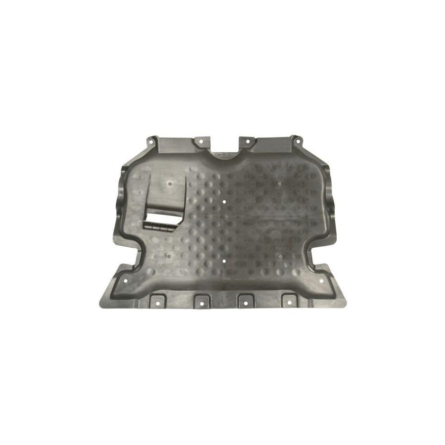 Blic 6601-02-3521861P Engine Cover