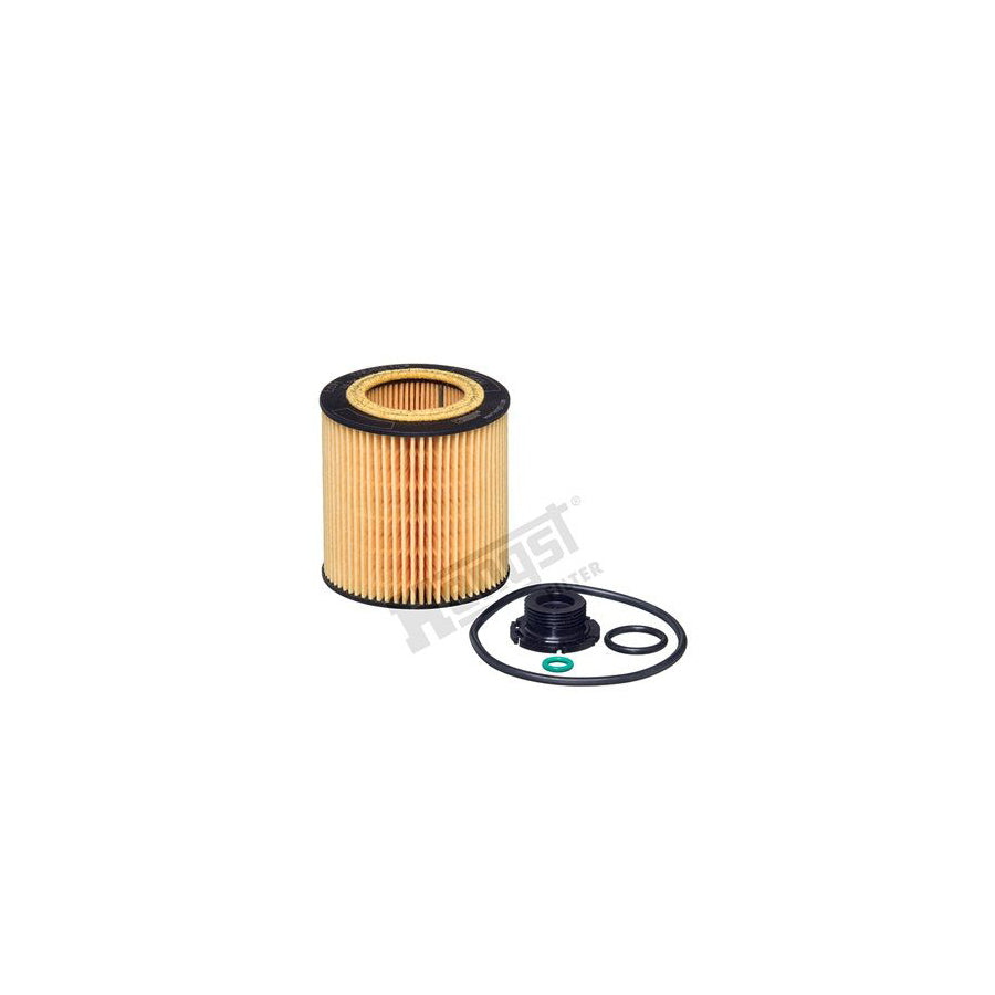 Hengst Filter E61H D258 Oil Filter